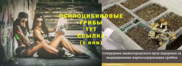 мдма Богородицк