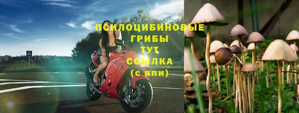 Альфа ПВП Богданович