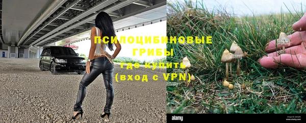 Альфа ПВП Богданович